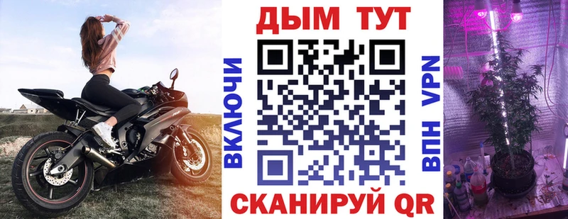 Шишки марихуана Ganja  Томмот 